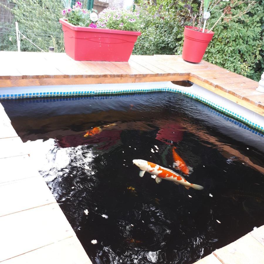 Templeuve-en-Pevele Au Paradis Des Crins Studio Rez De Chaussee Avec Jardin Et Un Autre Studio En Duplex Avec Terrasse 아파트 외부 사진